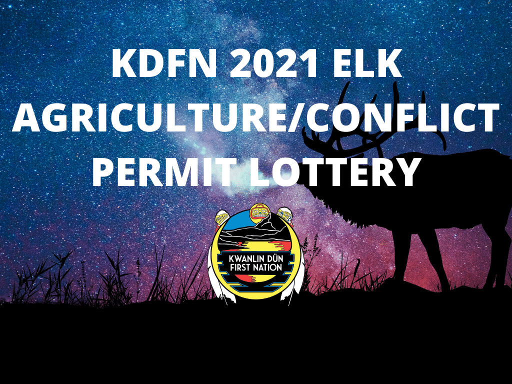 KDFN 2021 ELK AGRICULTURE/CONFLICT PERMIT LOTTERY Kwanlin Dün First